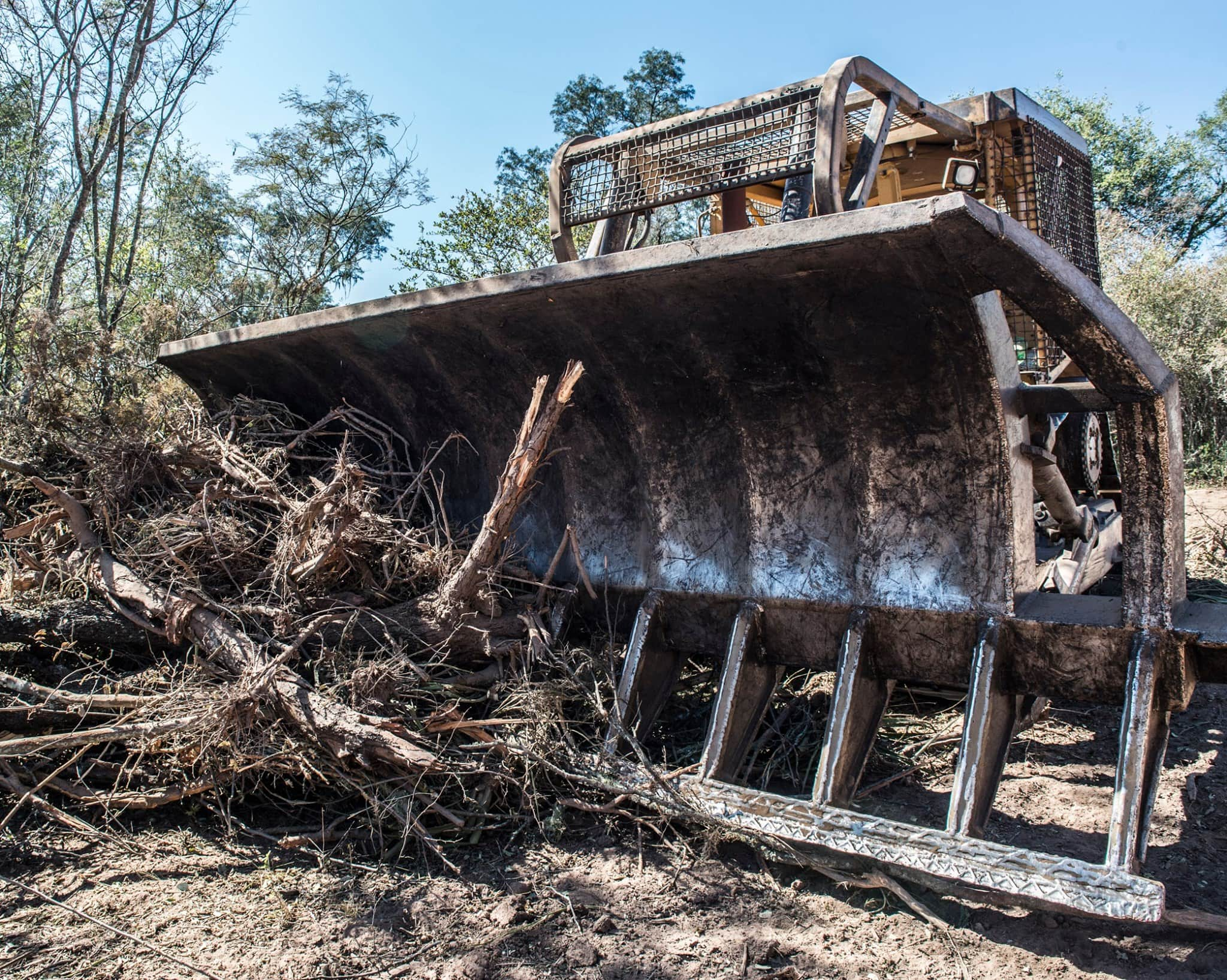 D E S T R U C C I Ó N: esto es lo que pasa en el Chaco y el norte argentino. Los criminales ambientales desmontan sin control arrasando con ecosistemas enteros.